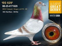 BE-25-4171629