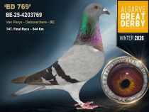 BE-25-4203769