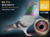 BE-25-4203774