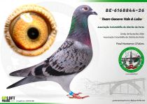 BE-6168844-26
