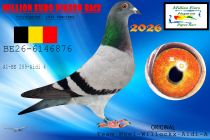 BE26-6146876