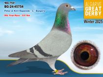 BG-24-45754