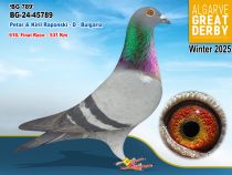 BG-24-45789