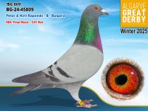 BG-24-45809