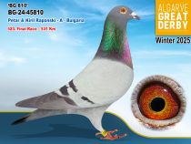 BG-24-45810