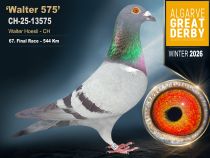 CH-25-13575