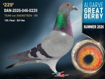 DAN-2026-046-0229