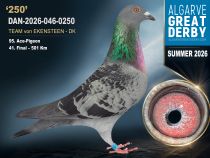 DAN-2026-046-0250