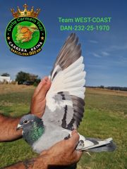 DAN-232-25-1970