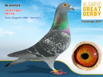 DE-24-0162-6