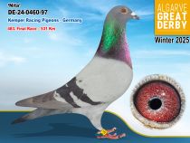 DE-24-0460-97
