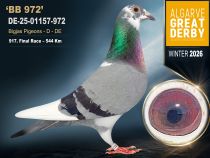 DE-25-01157-972