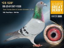 DE-25-01367-1528