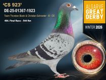 DE-25-01367-1923