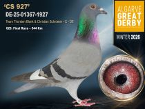 DE-25-01367-1927