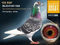 DE-25-01367-1928