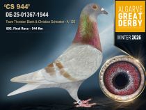 DE-25-01367-1944
