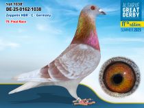 DE-25-0162-1038