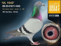 DE-25-01811-1642