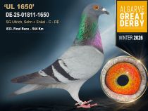DE-25-01811-1650