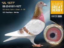 DE-25-01811-1677