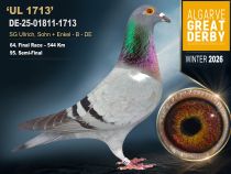 DE-25-01811-1713