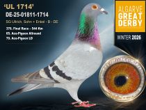 DE-25-01811-1714