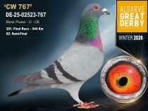 DE-25-02523-767