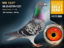 DE-25-02799-1237