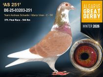 DE-25-03203-251