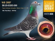DE-25-03203-260