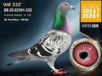 DE-25-03391-332