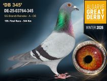DE-25-03764-345