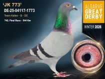 DE-25-04117-1773