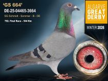 DE-25-04465-3664