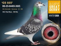 DE-25-04465-3665