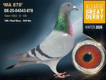 DE-25-04543-878