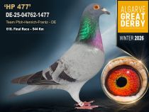 DE-25-04762-1477