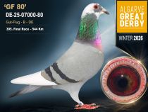 DE-25-07000-80