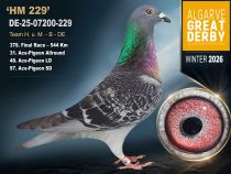 DE-25-07200-229