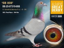 DE-25-07319-808
