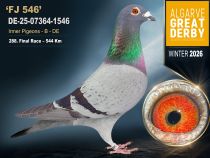 DE-25-07364-1546