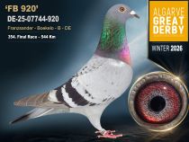 DE-25-07744-920