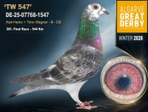 DE-25-07768-1547