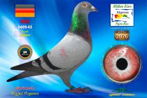 DE26-8469-43