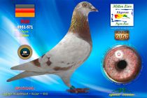 DE26-8951-571