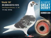 DV-2026-02312-1616