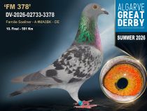 DV-2026-02733-3378