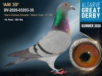 DV-2026-03203-39