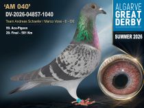 DV-2026-04857-1040